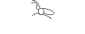 Datenschlepper - Logo
